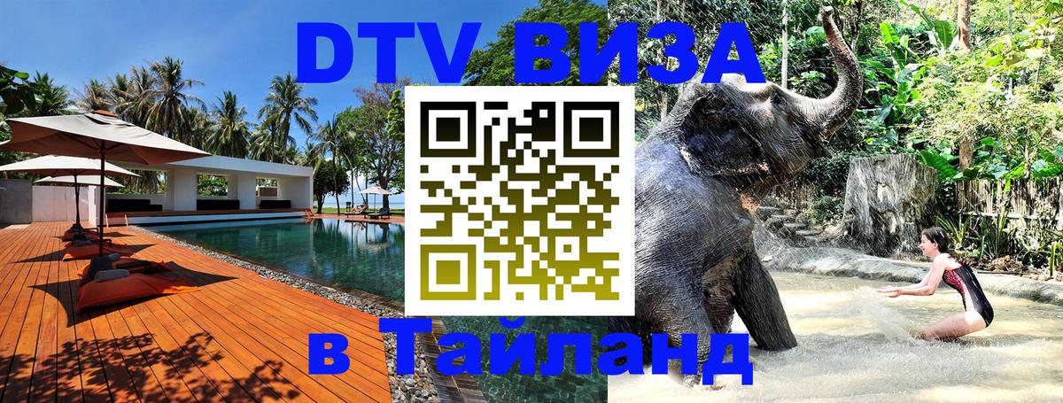 Оформление DTV визы под ключ: стоимость и тарифы, только загранпаспорт - Долгопрудный 